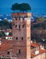 foto della Torre Guinigi